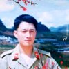 凯旋周（免币少花）的头像