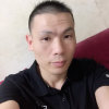 自由鸟的头像