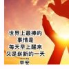 秋季枫叶的头像
