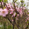 杜老师的头像