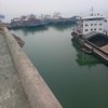 浩瀚海洋的头像