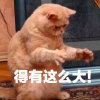 Poison的头像