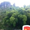逍遥冷仙的头像