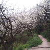 Zhao'Shi'Yan'的头像