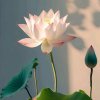 花开富贵的头像
