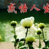 余生的头像