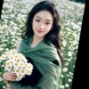 菊华的头像