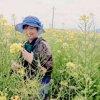 云朵的头像