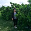 萍的头像