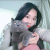 S的头像