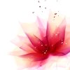 Silence゛的头像