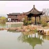 随缘的头像