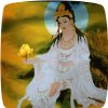卍悟缘卍的头像