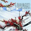 蓝色天空的头像