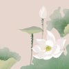 桃花盛开的头像