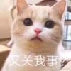 靖衍的头像