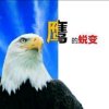蜕变的头像