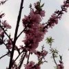 无奈人生的头像