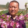 清晨的头像