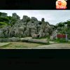 旋律陈，的头像