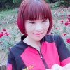 芙蓉花小号的头像