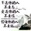 雪中情的头像