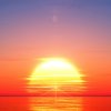 阳光sunshine的头像