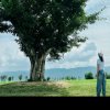 ╰☆ 湘君的头像