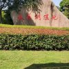 君子兰的头像