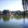 心如止水的头像