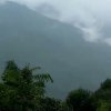世情缘的头像