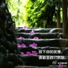 乐悠悠的头像