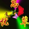 忘忧草的头像