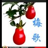 八一梅姐的头像