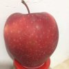 顺其自然的头像