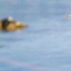 落M的头像