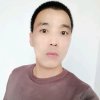 坚持不懈的头像