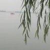 春风依旧的头像
