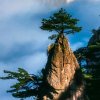 峰华的头像