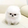  心愿的头像