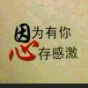 感恩的心的头像