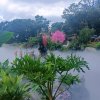 静的头像