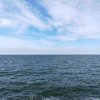 海阔天空的头像
