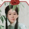 玫瑰花瓣的头像