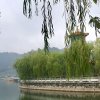 珍惜的头像