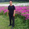 文明的头像