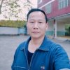 雄鹰的头像