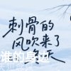 ｡◕‿◕｡镜花水月｡◕‿◕｡的头像