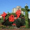 海阔天空的头像