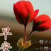 何花的头像